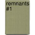 Remnants #1