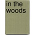 In the Woods