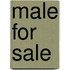 Male for Sale