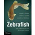 The Zebrafish