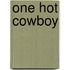 One Hot Cowboy