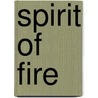 Spirit of Fire door Stephen Zimmer