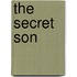 The Secret Son