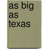 As Big As Texas door K.N. Casper