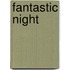 Fantastic Night