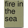 Fire in the Sea door Mike Bartlett