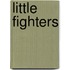Little Fighters