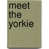 Meet the Yorkie