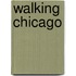 Walking Chicago
