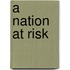 A Nation at Risk