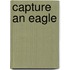 Capture an Eagle