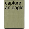 Capture an Eagle door Joyce Henderson