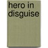 Hero in Disguise