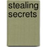 Stealing Secrets