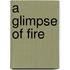 A Glimpse of Fire