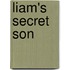 Liam's Secret Son