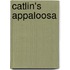 Catlin's Appaloosa