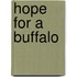 Hope for a Buffalo