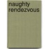 Naughty Rendezvous