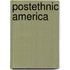 Postethnic America