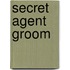 Secret Agent Groom