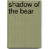 Shadow of the Bear