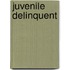 Juvenile Delinquent