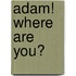 Adam! Where Are You?