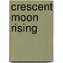 Crescent Moon Rising