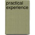 Practical Experience