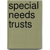 Special Needs Trusts door Kevin Urbatsch