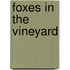 Foxes in the Vineyard