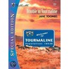 Trouble in Tourmaline door Jane Toombs