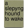 A Slepyng Hound to Wake door Vincent Mccaffrey