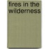 Fires in the Wilderness