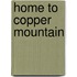 Home To Copper Mountain