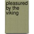 Pleasured By The Viking