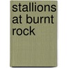 Stallions at Burnt Rock door Paul Bagdgon