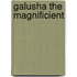 Galusha the Magnificient