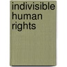 Indivisible Human Rights door Daniel Whelan