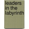 Leaders in the Labyrinth door Stephen J. Nelson