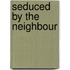 Seduced by the Neighbour