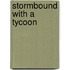 Stormbound with a Tycoon