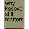 Why Kosovo Still Matters door Denis MacShane