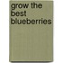 Grow the Best Blueberries