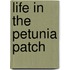 Life in the Petunia Patch