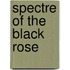 Spectre of the Black Rose