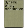 Dynamic Binary Modification door Kim Hazelwood
