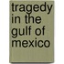 Tragedy in the Gulf of Mexico