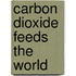 Carbon Dioxide Feeds the World